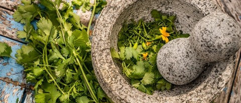 Herbs & botanicals