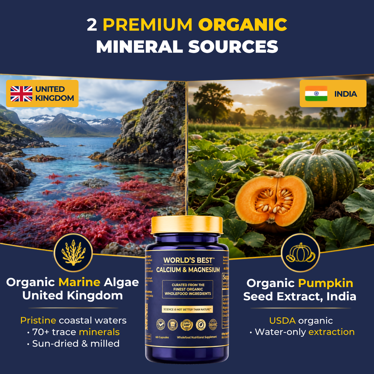 World's Best Calcium-Magnesium