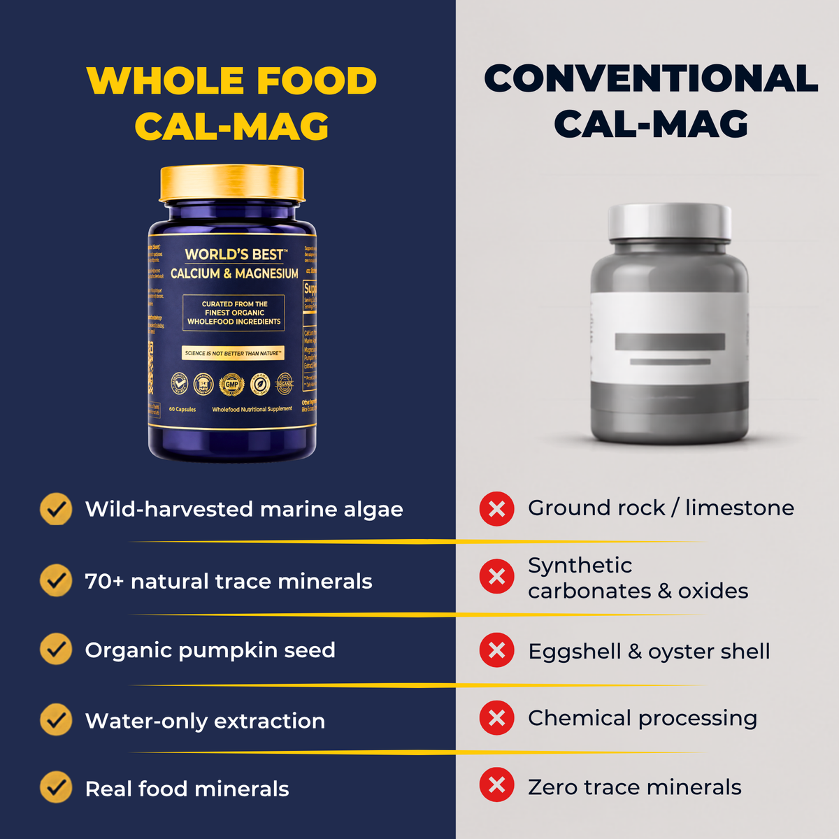 World's Best Calcium-Magnesium