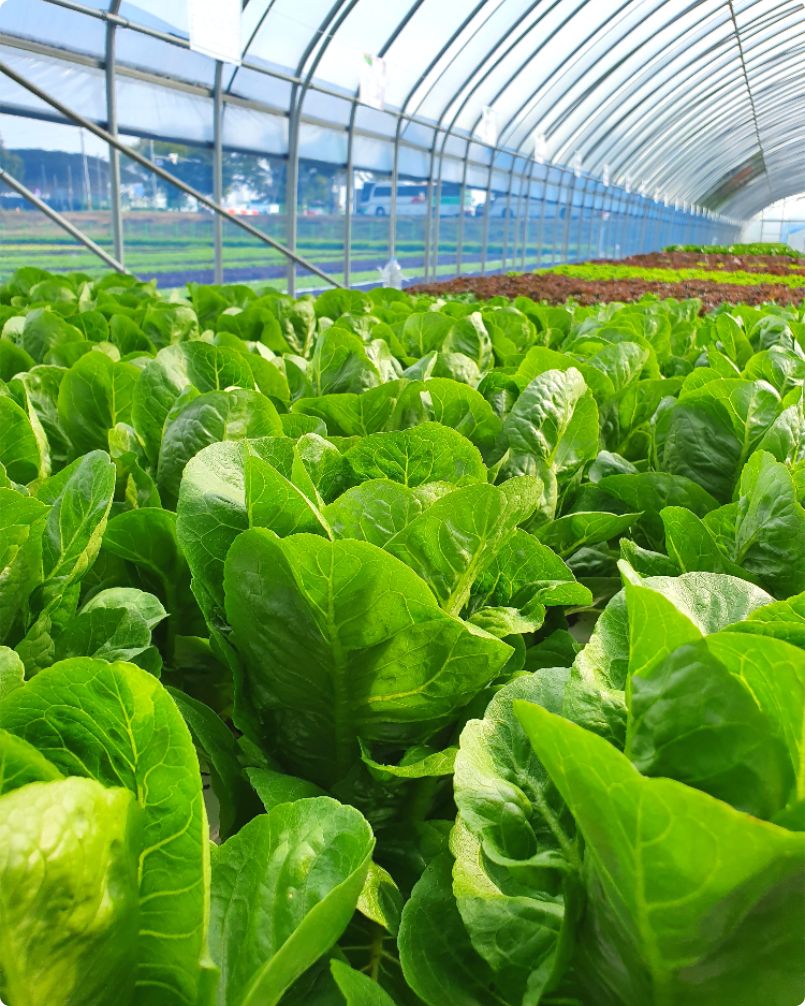 We Source From the World’s Finest Origins.