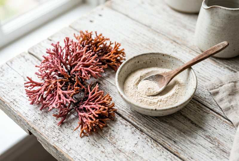 Calcium — Organic Marine Algae (Iceland)