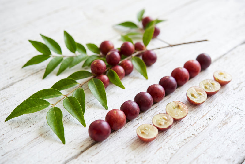 Organic Camu Camu