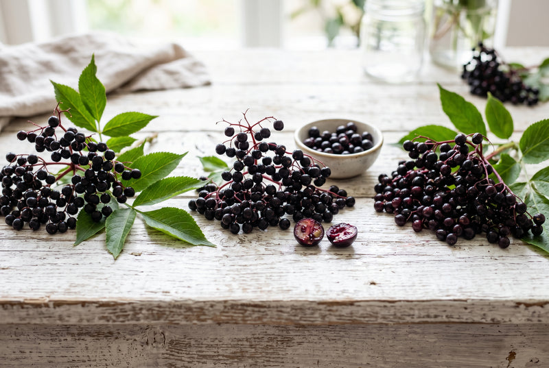 Organic Elderberry
