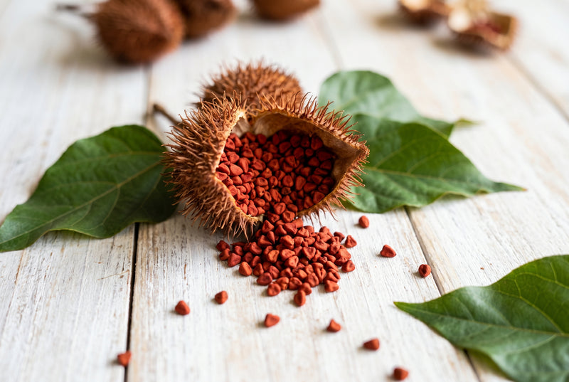 Organic Annatto Extract — India
