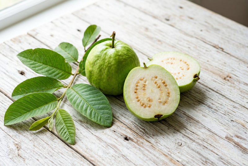 Organic Guava Leaf Extract — Southern India